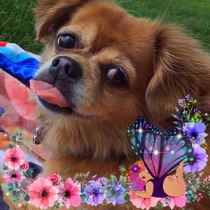 Meet your Posher, Jill